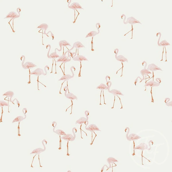 OD- Flamingos
