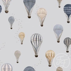 OD- Hot Air Balloons Sky