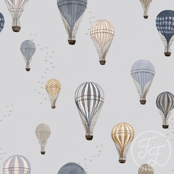 OD- Hot Air Balloons Sky