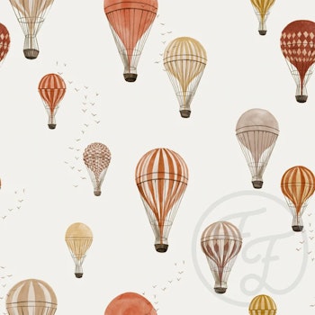 OD- Hot Air Balloons