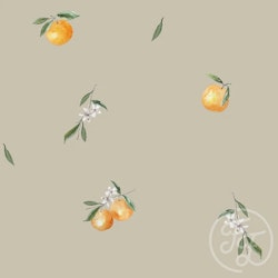 OD- Oranges Olive
