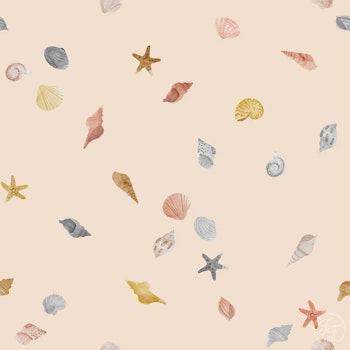 OD- Sea Shells Peach