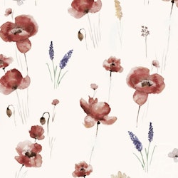 Poppy flowers