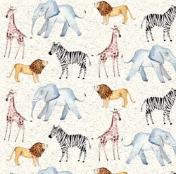 OD- Safari
