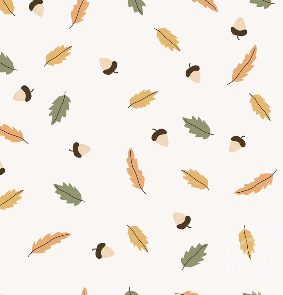 OD- Fall leaves and nuts