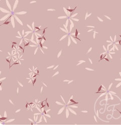 OD- Jasmine pink