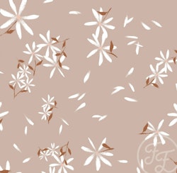 OD- Jasmine brown