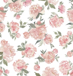 OD- Peonies