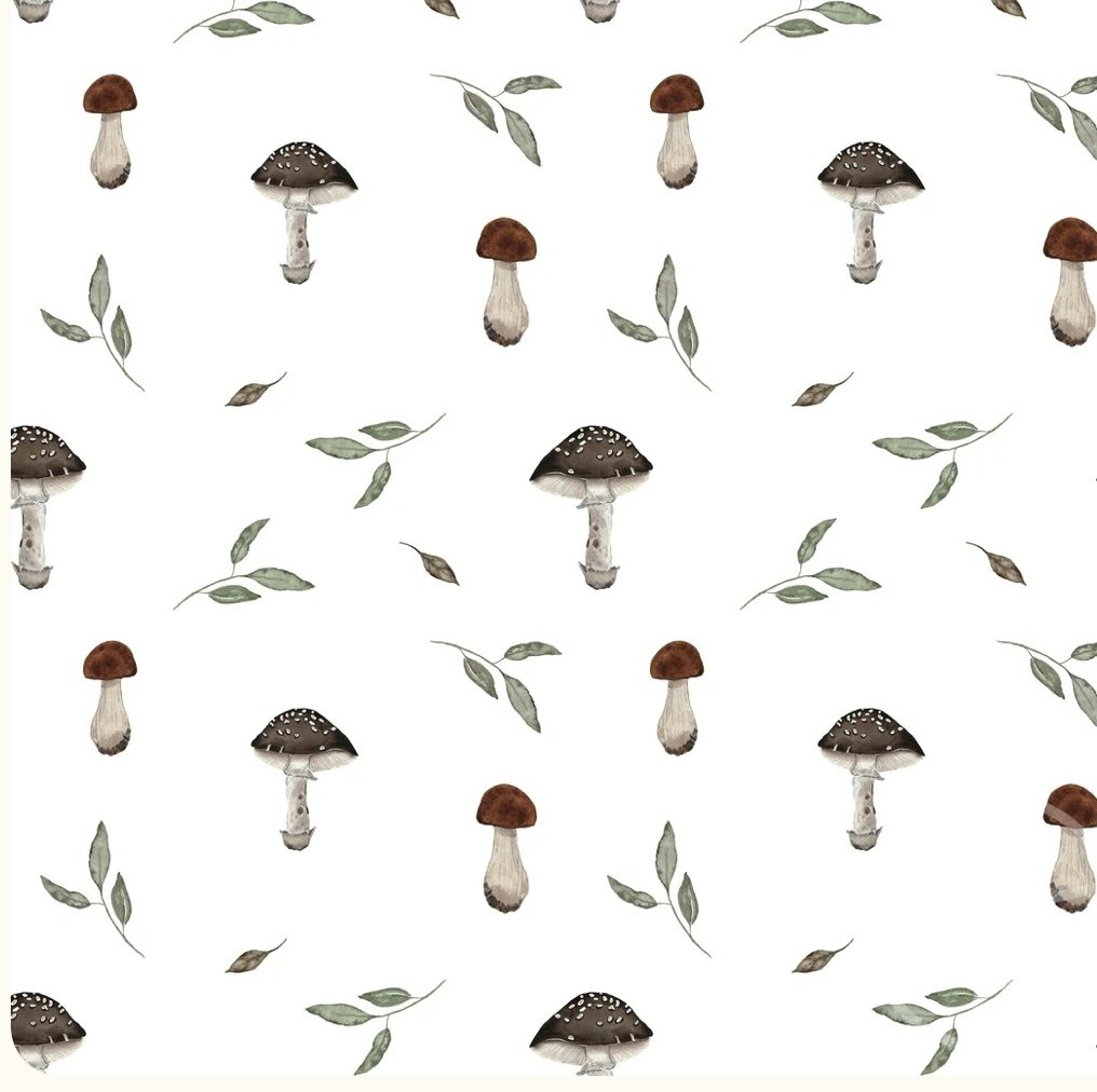 OD- Mushrooms and leaves