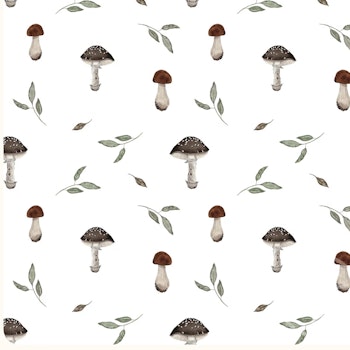 OD- Mushrooms and leaves