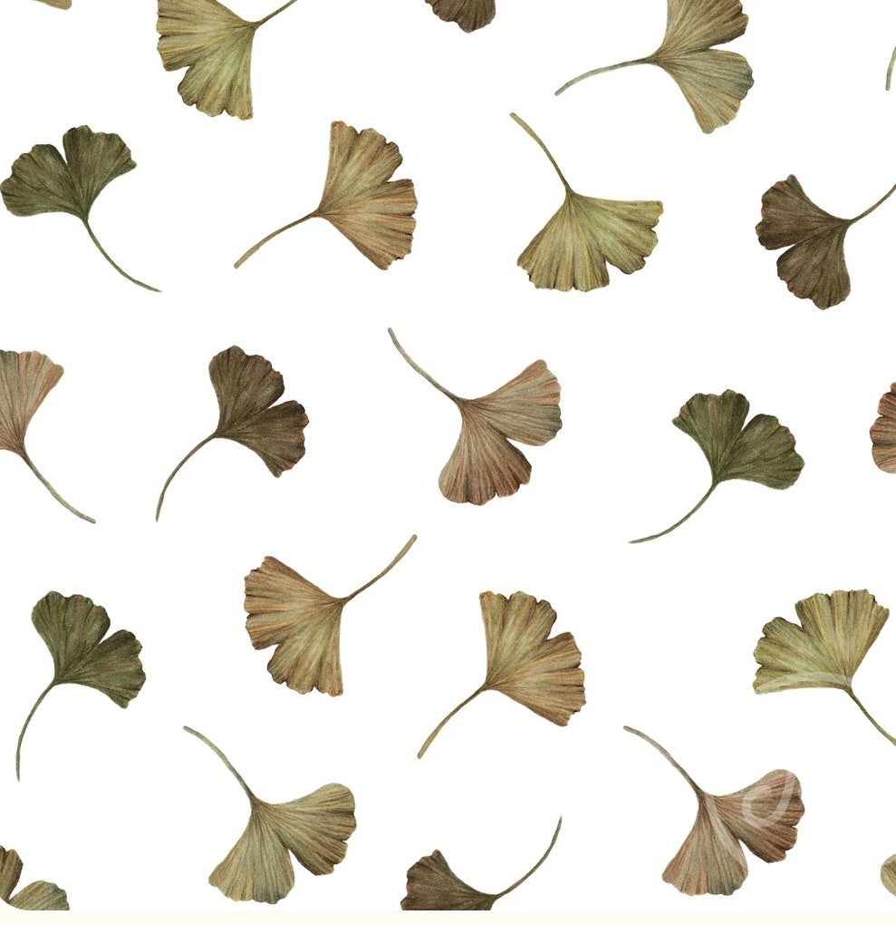 OD- Ginko leaves