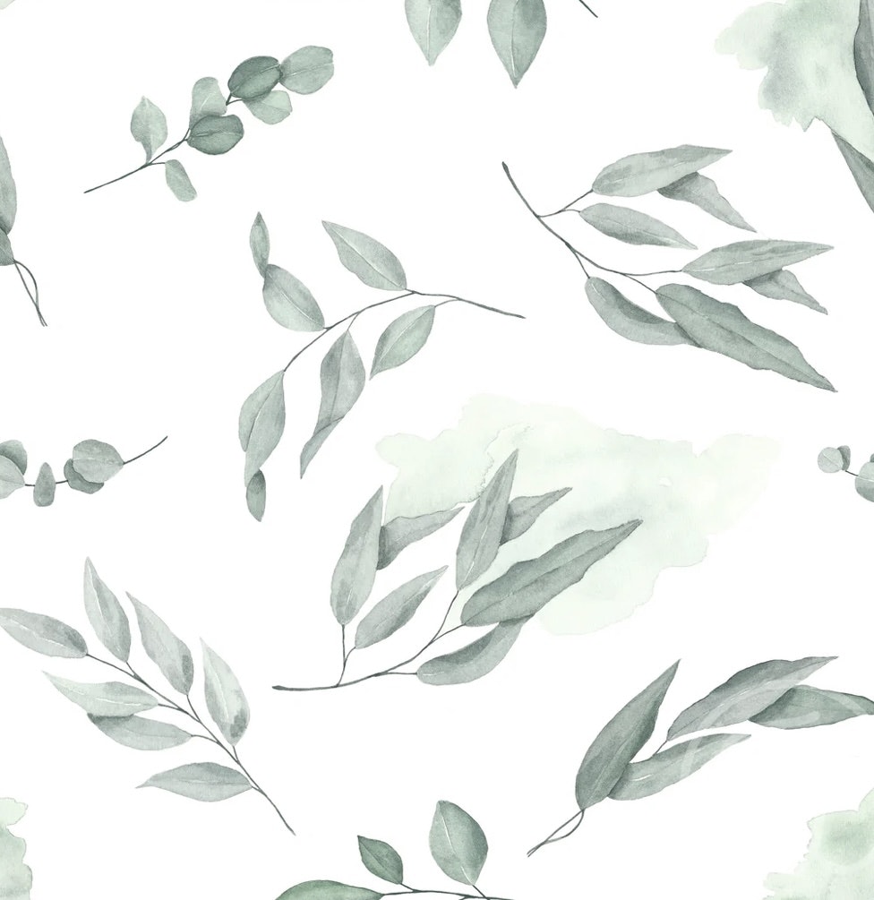 OD- Eucalyptus branches