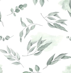 OD- Eucalyptus branches