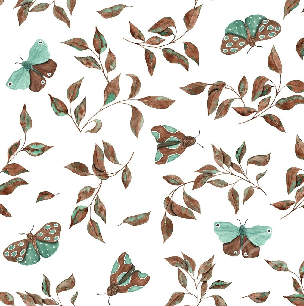 OD- Autumn moths