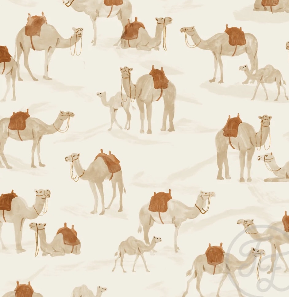 OD- Drommy beige
