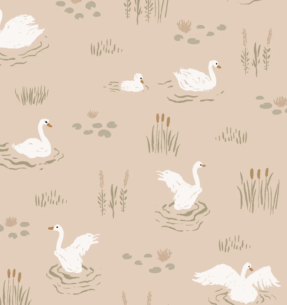 OD- Swans coral