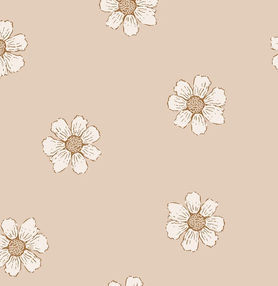 OD- Daisies coral