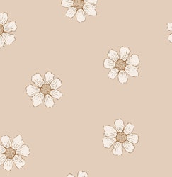 OD- Daisies coral