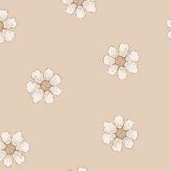 OD- Daisies coral