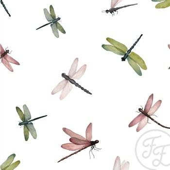 OD-Dragonflies