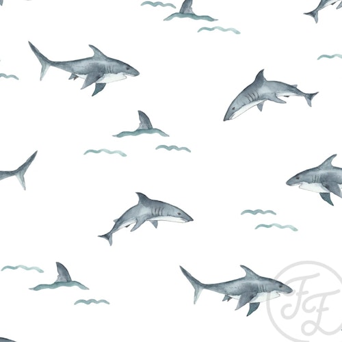OD- Sharks