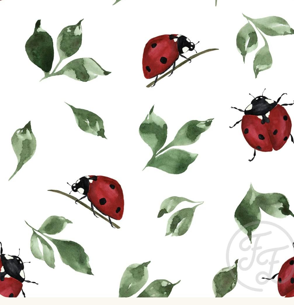 OD- The ladybug