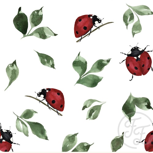 OD- The ladybug