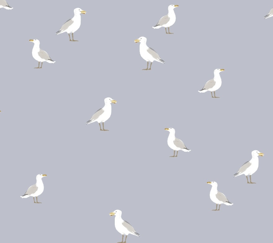 OD- seagull blue