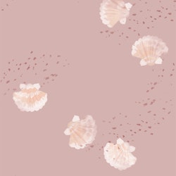 OD- Shells pink