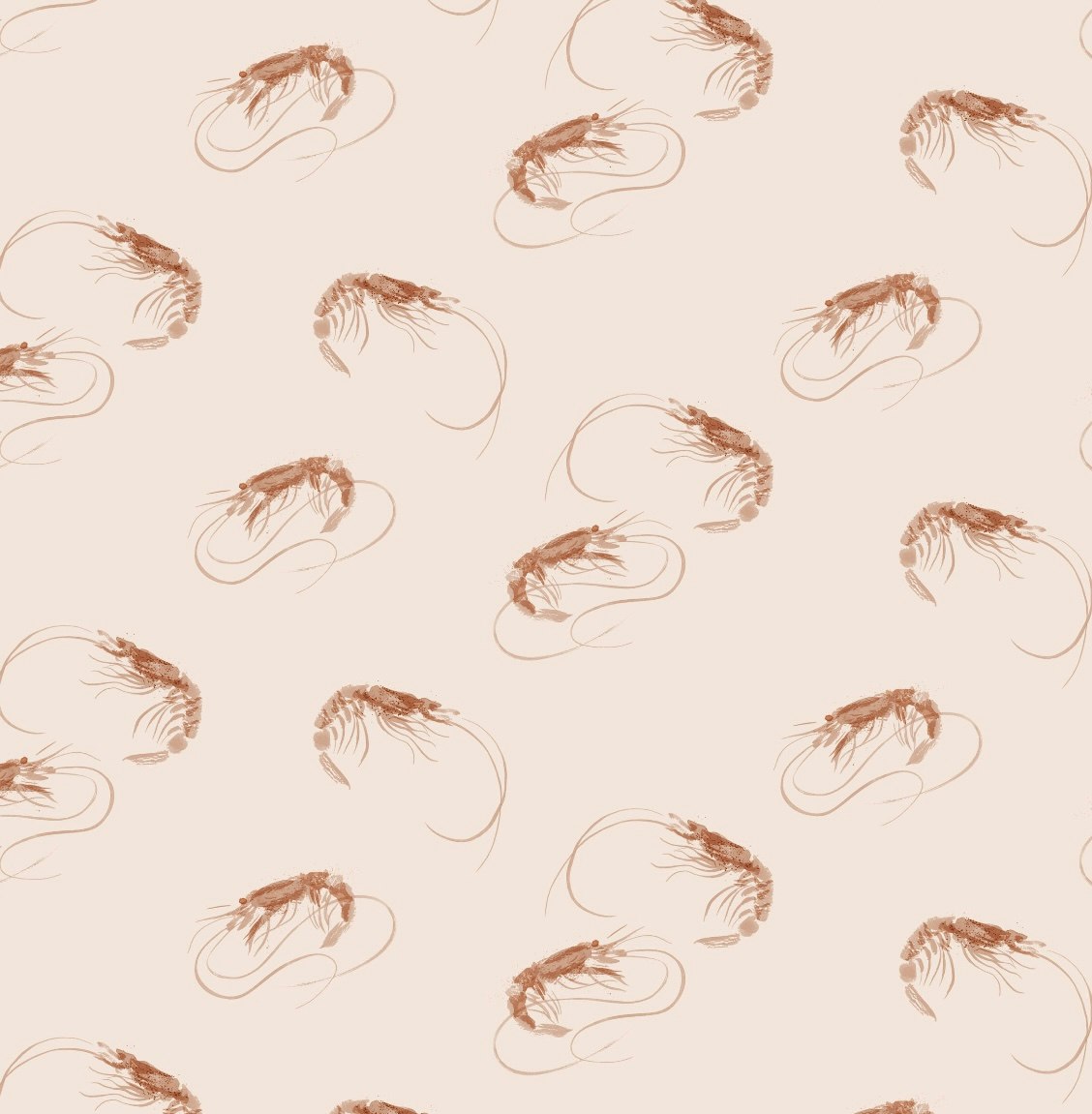 OD- Shrimps