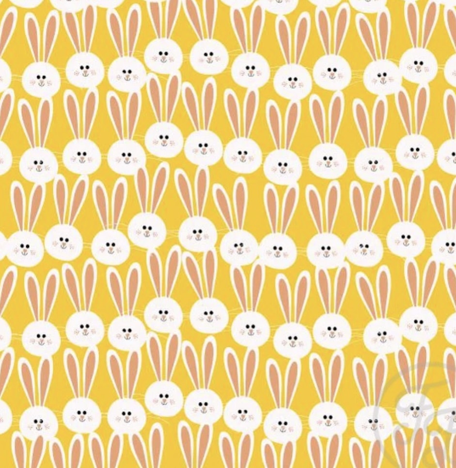 OD- Little bunnies
