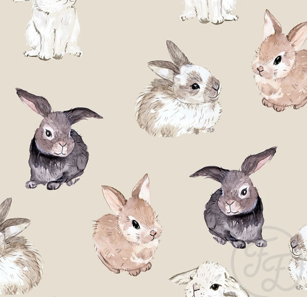 Bunnies jersey