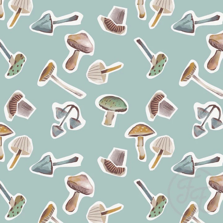OD- Painted mushrooms on turqoise