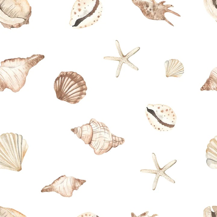 OD- Shell seastars