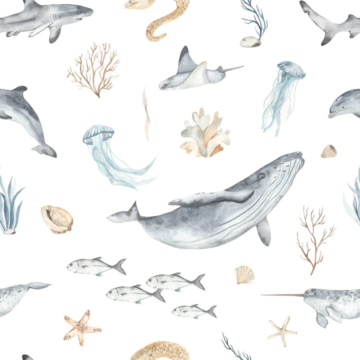 OD- Ocean life pastel