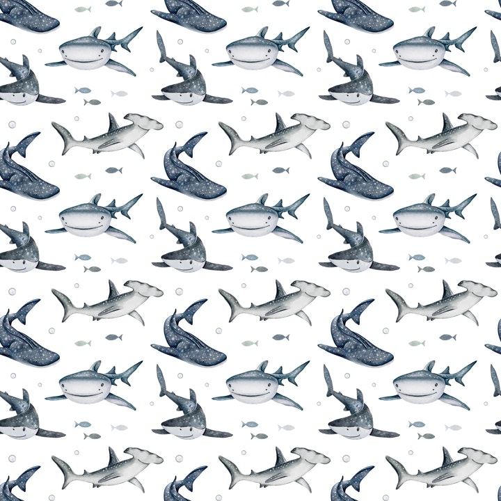 OD- Sharks 1