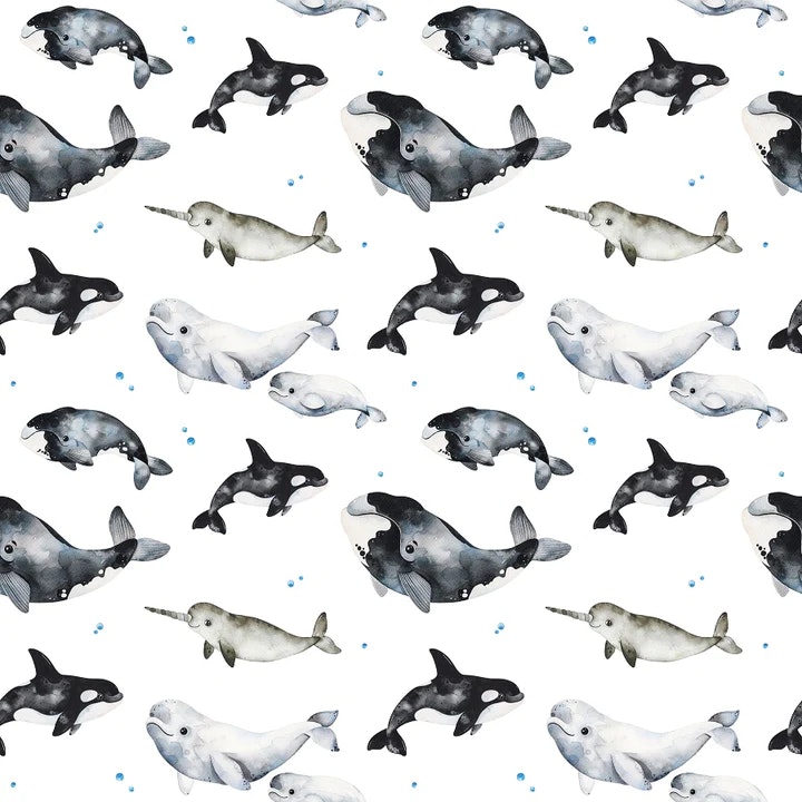 OD- Whales