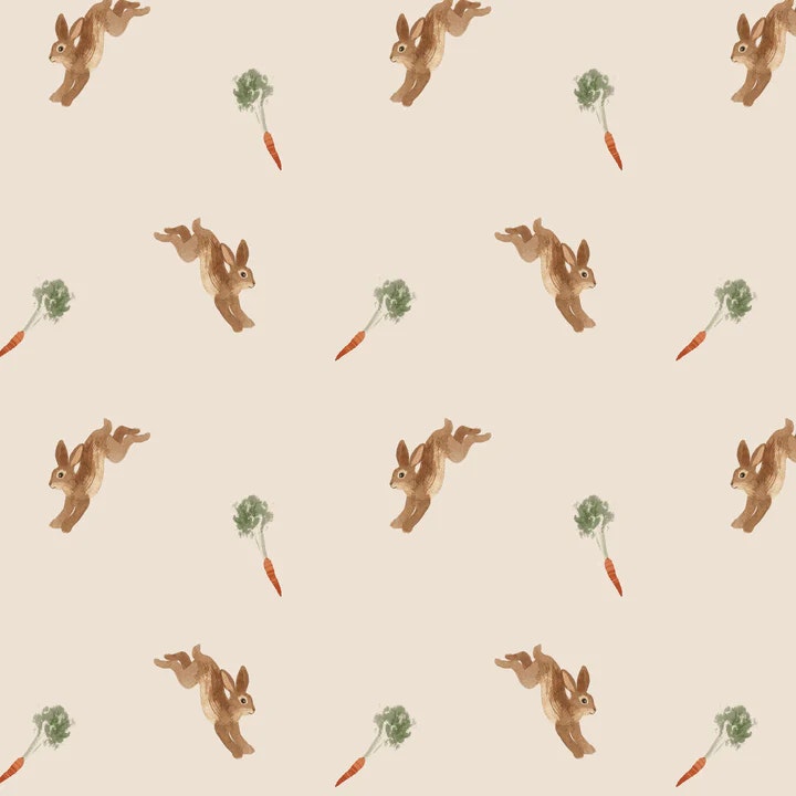 OD- Bunny hop
