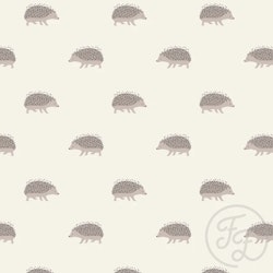 OD- Little hedgehog grey
