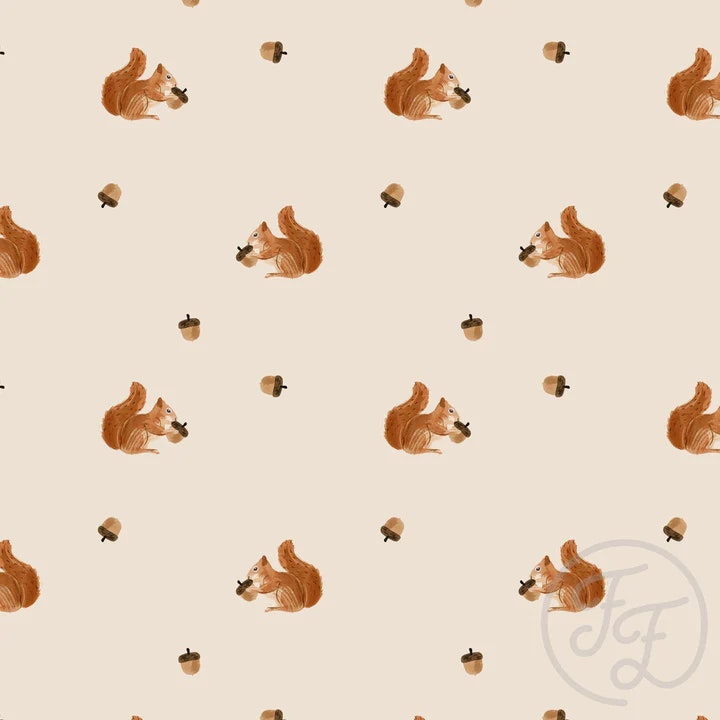 OD- Squirrel and acorn