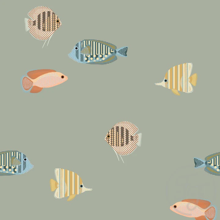 OD- Tropical fish sage