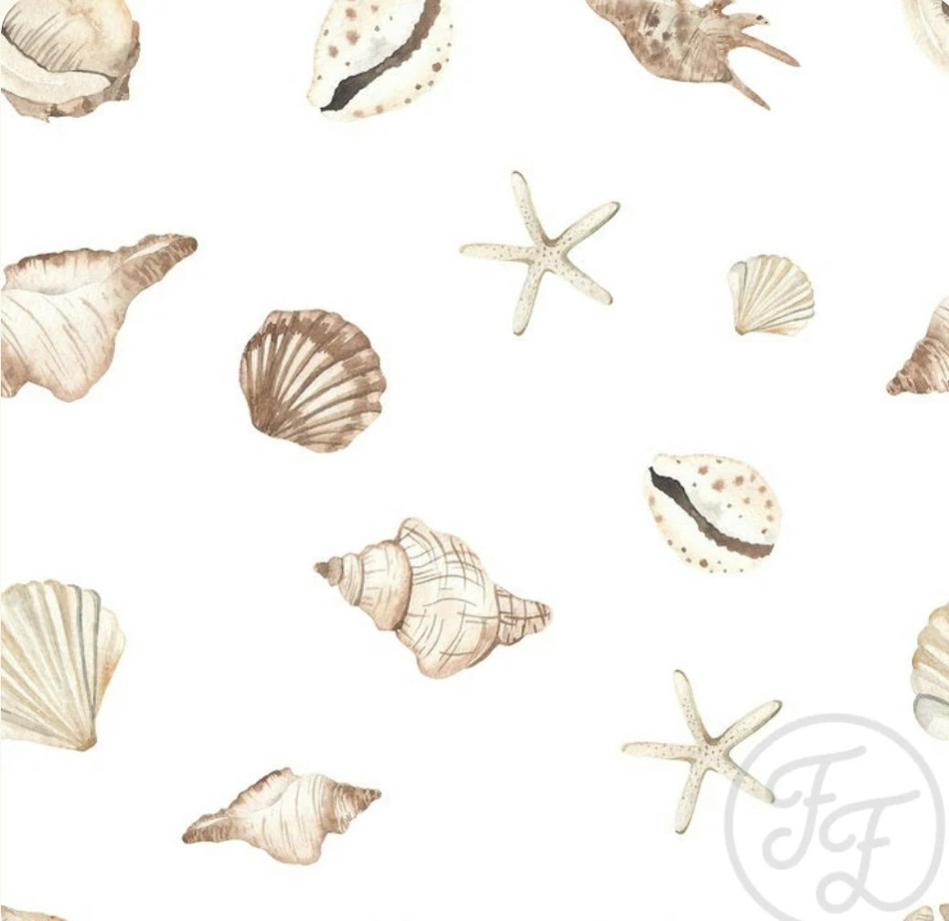 Shells and seastars
