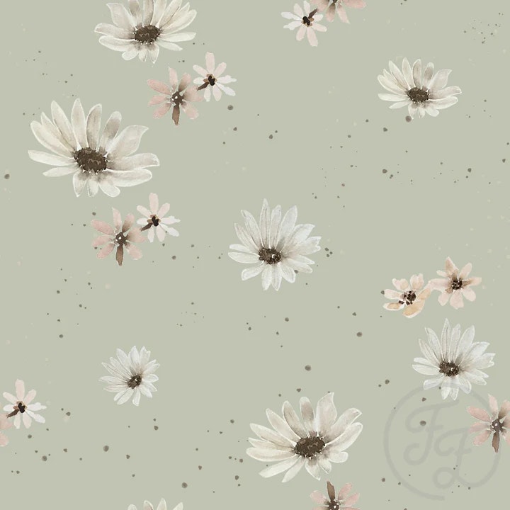 OD- Margaret sage flowers