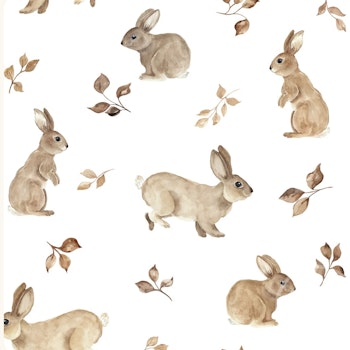 Rabbits and leaves
