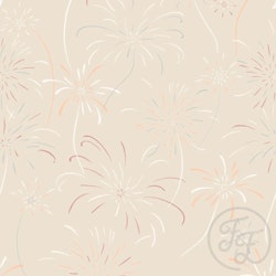 OD- Fireworks