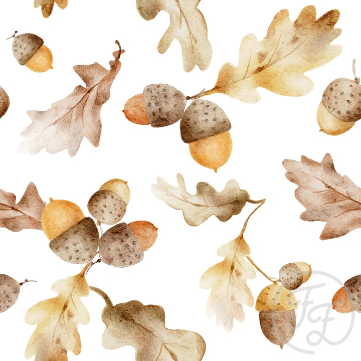 OD- Acorns 2