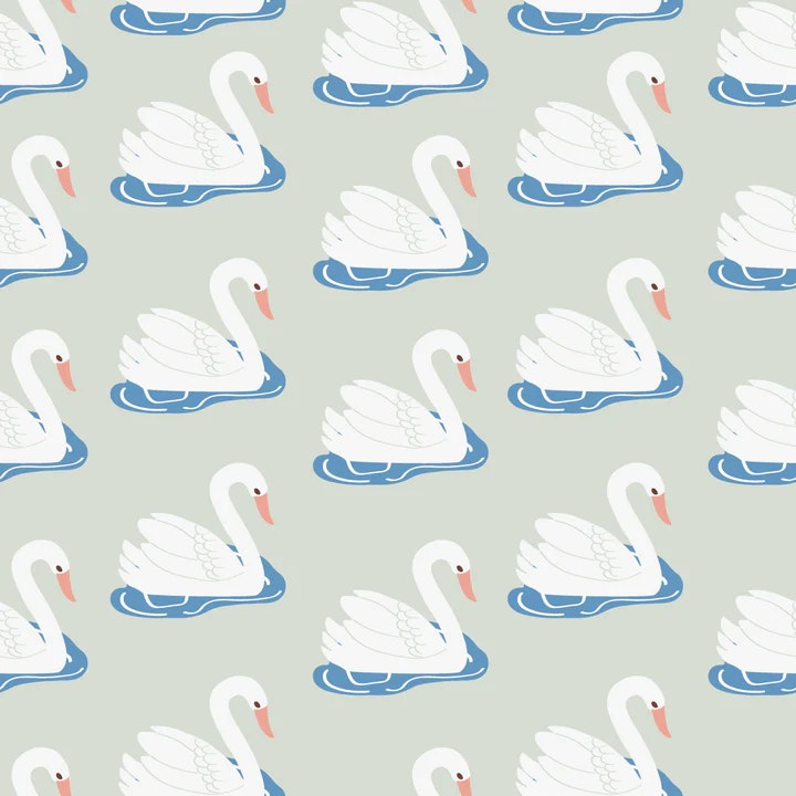 OD- Swans in nebula