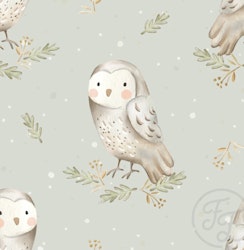 Owl sage