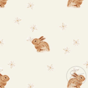 OD- Baby rabbit & butterfly offwhite clear big