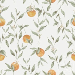 OD- Oranges green leaves
